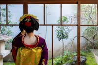 Kyoto Top Highlights 1 Day Bus Tour with Geisha Show Included 5