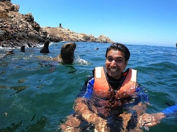 Swim with Sea Lions at Islas Palomino near Lima