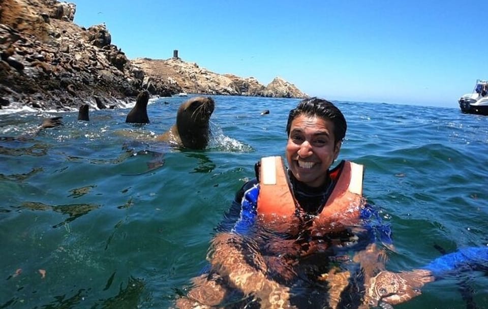 Swim with Sea Lions at Islas Palomino near Lima