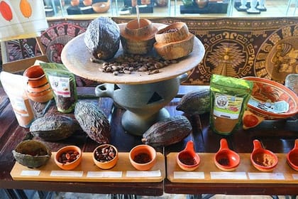 Roatan Mayan Jungle Zipline, Monkey & Sloths Adventure & City Tour