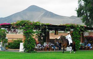 Pachacamac Temple, Peruvian Paso Horse & Artisan Store Private Tour from Lima
