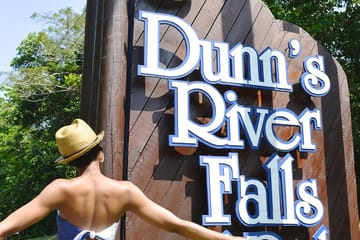 Dunn's River Falls Adventure and Shopping in Ocho Rios