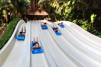Sunway Lagoon Theme Park Ticket and 1 WAY Transfer (SIC – shared transfer) 4