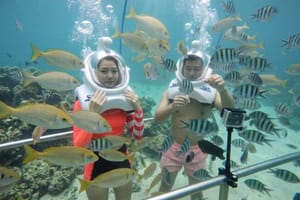 Cham Island Sea Trek and Snorkeling by Speedboat