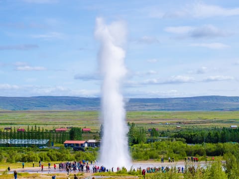 Golden Circle & Meet the Icelandic Horses - Small Group Minibus, photo 4