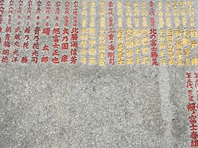 Private Walking Tour with Sumo Wrestler and Master Guide in Ryogoku photo 6