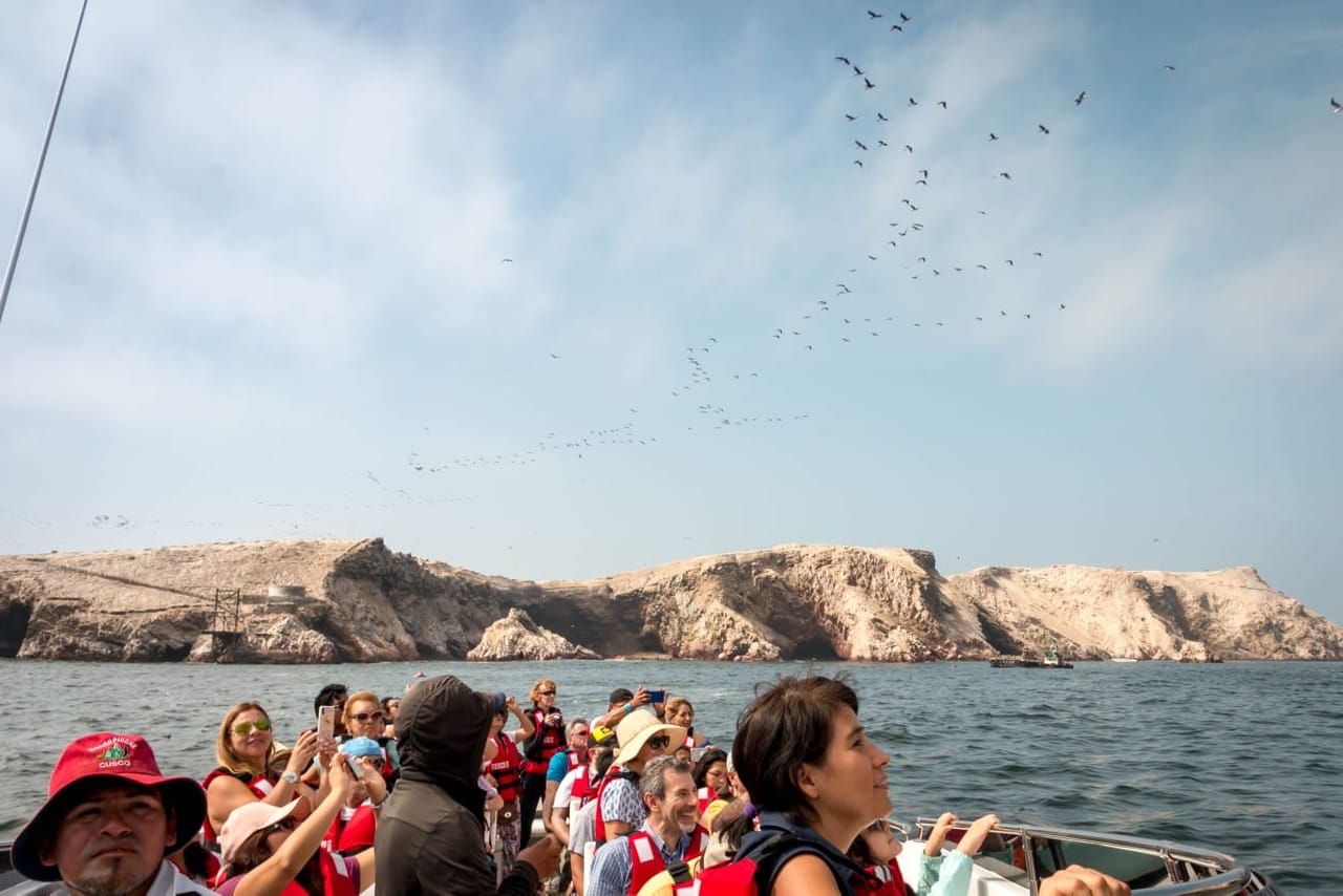 Ballestas Islands Sigthseeing Tour 8