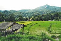 CHIANG MAI: Doi Inthanon & Trekking (2 Km.)at Kew Mae Pan (incl entrance fees) 8