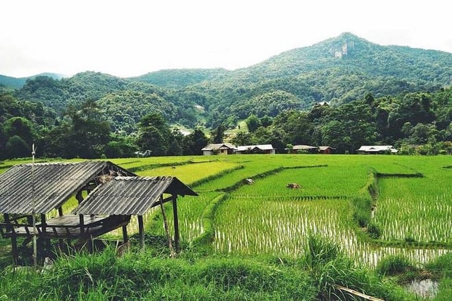 CHIANG MAI: Doi Inthanon & Trekking (2 Km.)at Kew Mae Pan (incl entrance fees) 8