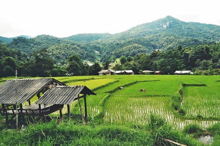 CHIANG MAI: Doi Inthanon & Trekking (2 Km.)at Kew Mae Pan (incl entrance fees) 8