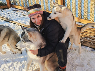 Private Adventure! Arctic Odyssey: Huskies and the Aurora Borealis!, photo 9