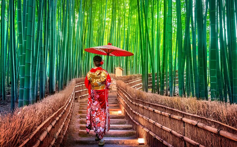 Kyoto Highlights Private Tour with Pick and Drop