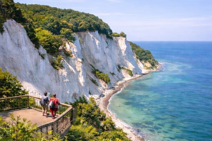 The Forest Tower and Forgotten Giants-A day tour from Copenhagen