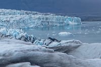Summer Treasure - Glacier Discovery 1