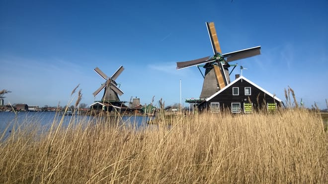 Private Tour: Zaanse Schans from Amsterdam photo 3