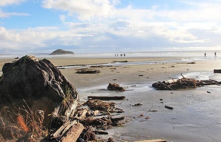 Vancouver to Tofino 2 Day Tour Private