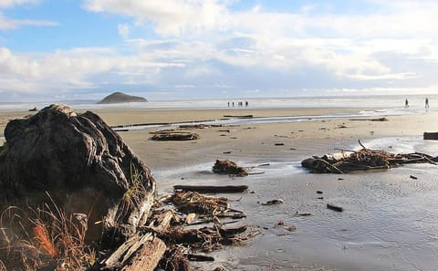 Private 2-Day Adventure Tour from Vancouver to Tofino