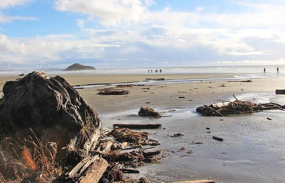 Vancouver to Tofino 2 Day Tour Private