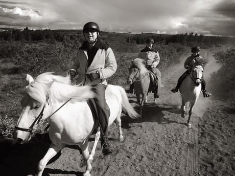 Viking Horses Mjölnir Afternoon Tour, photo 4