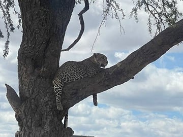6 Days Private Tanzania Safari Tour