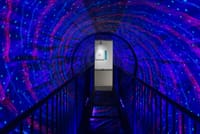 Dubai Museum of Illusions Tickets 5