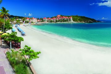 Ultimate Party Bus Tour: French and Dutch Island Adventure