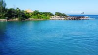 Dolphin Royal Swim at Montego Bay 4