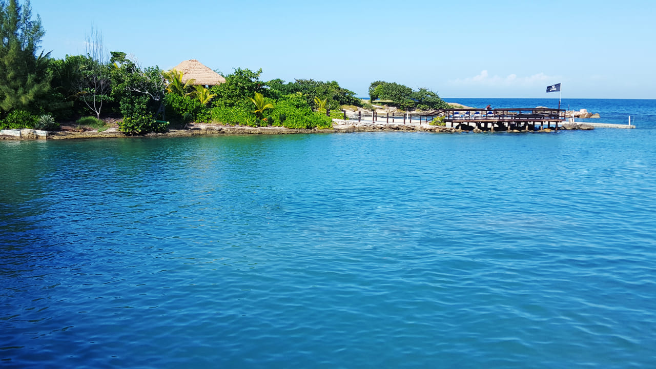 Dolphin Royal Swim at Montego Bay 4