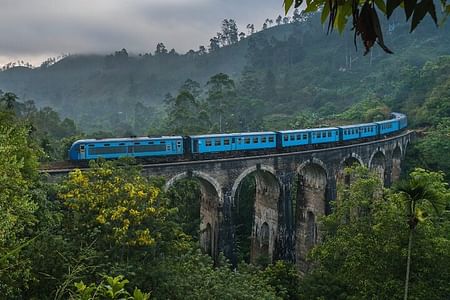 7-Day Highlights of Sri Lanka -Tour with Private Chauffeur