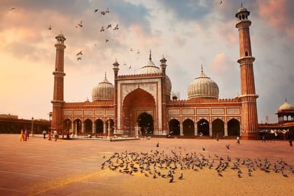 Gujarat Historic Places & Wildlife Safari Tour