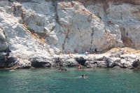 Rhodes sea cruises (6 hours pleasure cruise) 5