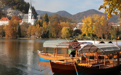 Private Tour of Lake Bled and Ljubljana from Zagreb