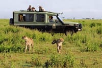 Game drive masai mara
