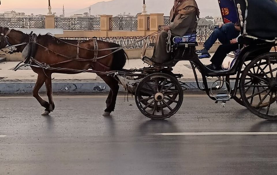 Horse Carriage Tour of Scenic Aswan, Egypt