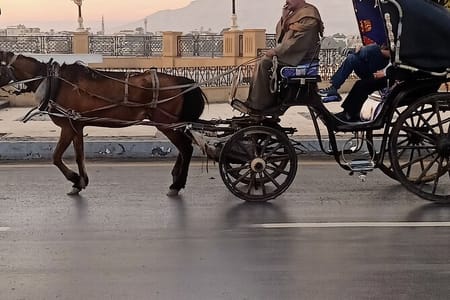Discover Aswan’s Scenic Beauty on a Horse Carriage Ride