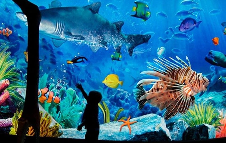 SEA LIFE Bangkok Ocean World Standard Admission Ticket