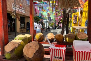 Puerto Plata City Private Tour