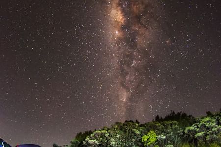 Unveiling History: Borobudur-Merapi Lava Tour
