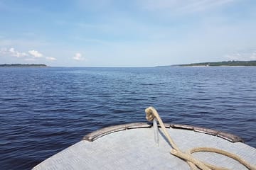 Amazon Jungle Trek and Anavilhanas Archipelago Tour in Manaus