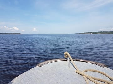 Amazon Jungle Trek and Anavilhanas Archipelago Tour in Manaus