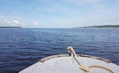 Amazon Jungle Trek and Anavilhanas Archipelago Tour in Manaus