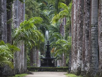 The Botanical Garden, one of the 4 wonders of Rio de Janeiro.