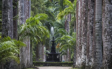 Botanical Garden and Tijuca Rainforest Jeep Tour in Rio