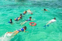 Personalized Private Eco-Friendly Snorkeling Tour in Punta Cana 5