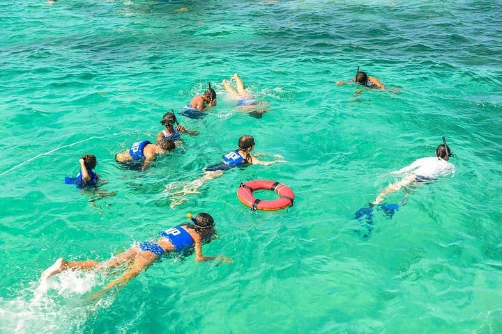 Personalized Private Eco-Friendly Snorkeling Tour in Punta Cana 5