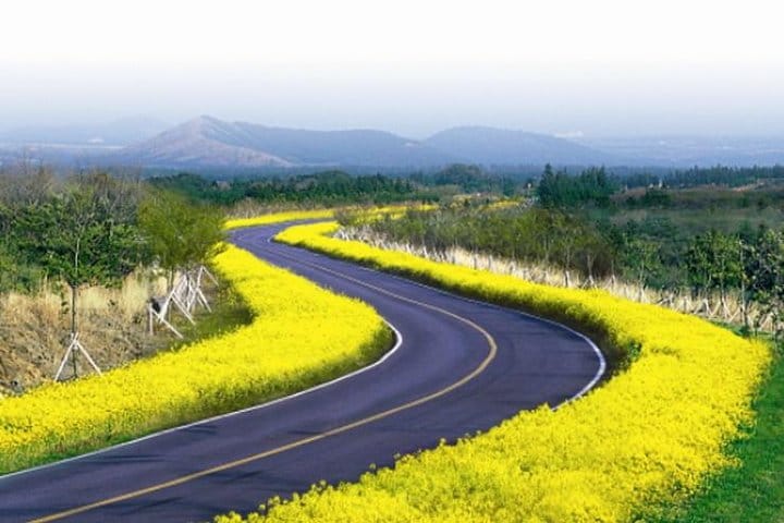 Autumn 10 days Jeonju&Mt.Naejangsan&Mt.Seorak&Mungyeong&Jeju&Busan on Early Nov