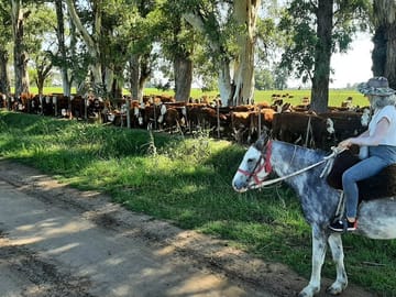 Horseback Riding Adventure in Carlos Keen, Argentina