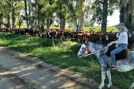 Horseback Riding Adventure in Carlos Keen, Buenos Aires Pampas
