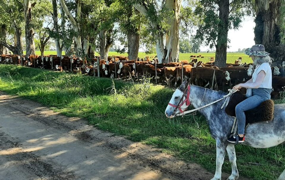 Horseback Riding Experience in Carlos Keen