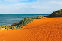One Day Safari Tour to Bundala National Park from Colombo 6